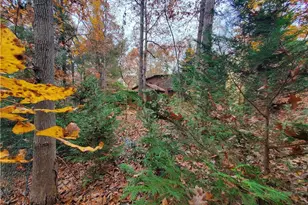 171 Mohawk Trail, Ellijay, GA 30540 - Photo 51