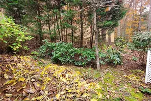 171 Mohawk Trail, Ellijay, GA 30540 - Photo 53