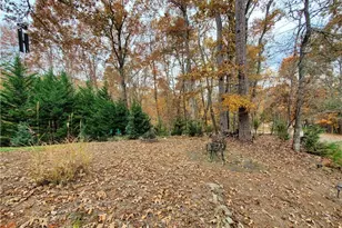 171 Mohawk Trail, Ellijay, GA 30540 - Photo 63