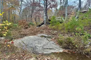 7567 Henderson Mountain Rd, Jasper, GA 30143 - Photo 15