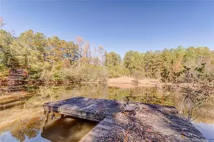 1288 Reavesville Rd, Bowdon, GA 30108 - Photo 25