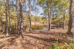 1288 Reavesville Rd, Bowdon, GA 30108 - Photo 23