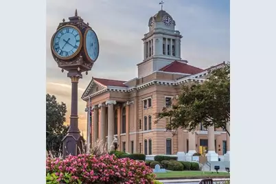 705 Triune Mill Road, Thomaston, GA 30286 - Photo 37