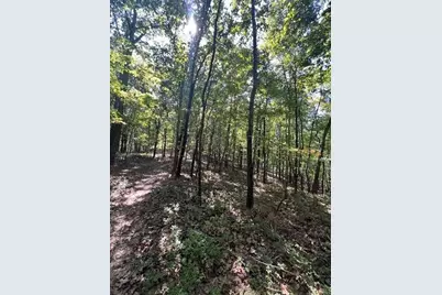 00 Vinson Mountain Road, Rockmart, GA 30153 - Photo 3