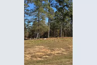 111 Stormy Drive, Eatonton, GA 31024 - Photo 1