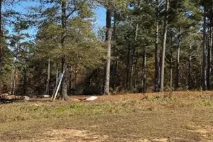 111 Stormy Dr, Eatonton, GA 31024 - Photo 1