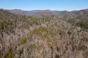 18 Corinth Church Rd, Cleveland, GA 30528 - Photo 35