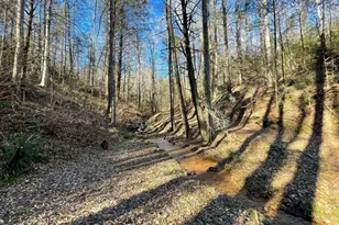 18 Corinth Church Rd, Cleveland, GA 30528 - Photo 23