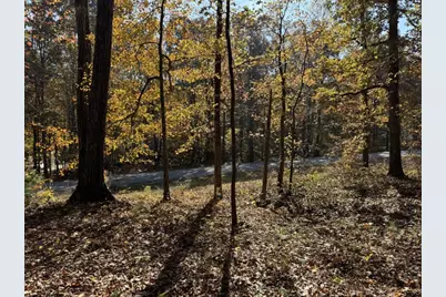 85 Annie Chandler Trail, Lawrenceville, GA 30045 - Photo 57