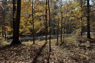 85 Annie Chandler Trail, Lawrenceville, GA 30045 - Photo 57