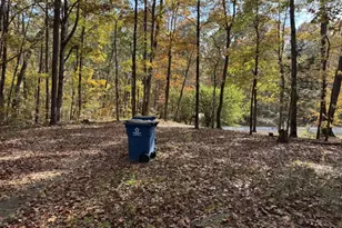 85 Annie Chandler Trail, Lawrenceville, GA 30045 - Photo 59