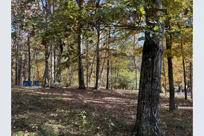 85 Annie Chandler Trail, Lawrenceville, GA 30045 - Photo 49