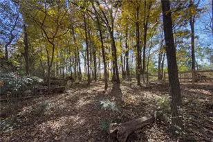 732 E Jefferson St, Hoschton, GA 30548 - Photo 61