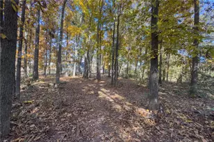 732 E Jefferson St, Hoschton, GA 30548 - Photo 67