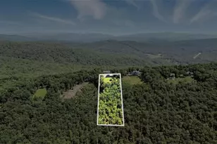 929 Hickory Nut Mountain Rd, Tallulah Falls, GA 30573 - Photo 51