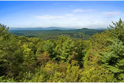 100 Wintermute Drive, Mineral Bluff, GA 30559 - Photo 7