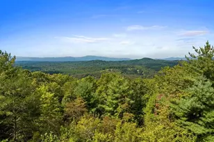 100 Wintermute Dr, Mineral Bluff, GA 30559 - Photo 7