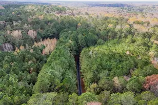 8467 Hearn Rd, Chattahoochee Hills, GA 30268 - Photo 89