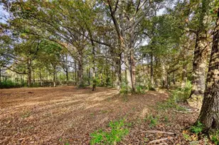 131 Upchurch Dr, McDonough, GA 30252 - Photo 61