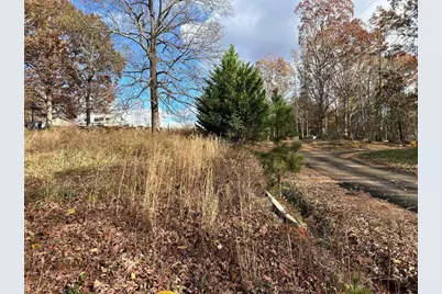 99 Rocket Drive, Cleveland, GA 30528 - Photo 9