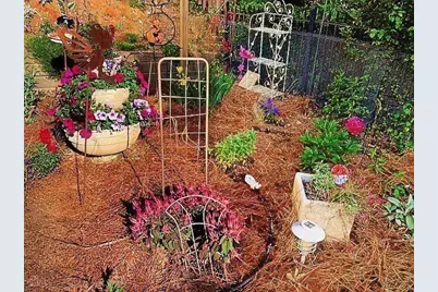 711 Ashley Wilkes Way, Loganville, GA 30052 - Photo 63