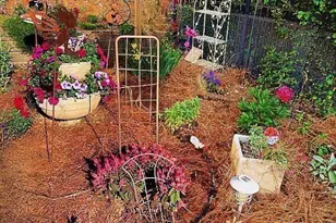 711 Ashley Wilkes Way, Loganville, GA 30052 - Photo 63