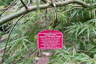 2067 Fairhaven Cir NE, Atlanta, GA 30305 - Photo 57