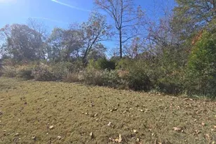 49 Osprey Overlook Dr, Braselton, GA 30517 - Photo 29