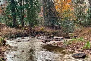 60 Bailey Creek Dr, Blue Ridge, GA 30513 - Photo 35