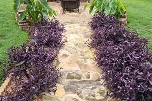 227 Elmbrook Ln, Canton, GA 30114 - Photo 43