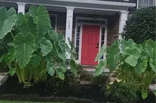 227 Elmbrook Ln, Canton, GA 30114 - Photo 5