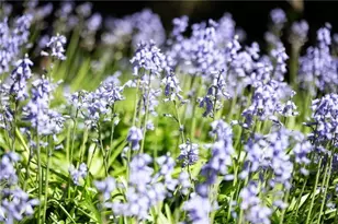 4615 Northside Dr, Atlanta, GA 30327 - Photo 67