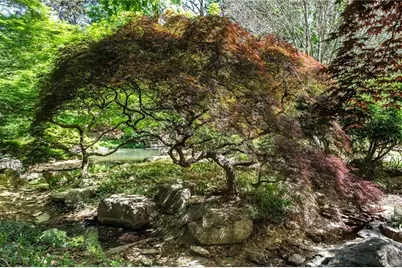 4615 Northside Drive, Atlanta, GA 30327 - Photo 63