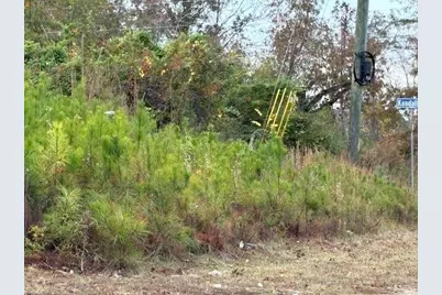 235 Kendall Drive, Griffin, GA 30224 - Photo 3