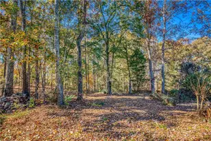 2521 Culpepper Trce, Bethlehem, GA 30620 - Photo 79