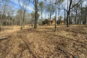 975 Blalock Lakes Dr, Newnan, GA 30263 - Photo 77