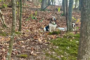 2100 West Wesley Rd, Atlanta, GA 30327 - Photo 49