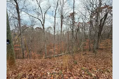 0 Falling Pines Road, Dahlonega, GA 30533 - Photo 9