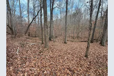 0 Falling Pines Road, Dahlonega, GA 30533 - Photo 5