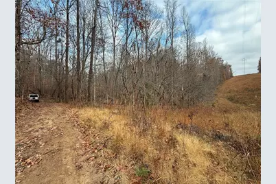 0 Falling Pines Road, Dahlonega, GA 30533 - Photo 3