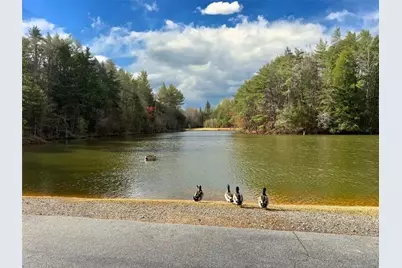 160 Nahunta Court, Ellijay, GA 30540 - Photo 37