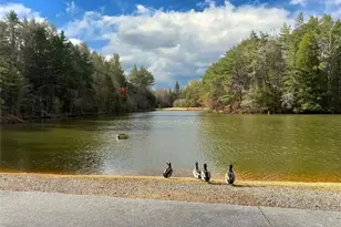 160 Nahunta Ct, Ellijay, GA 30540 - Photo 37