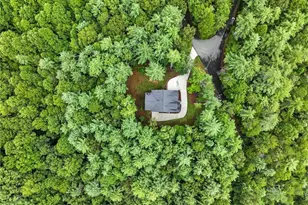 160 Nahunta Ct, Ellijay, GA 30540 - Photo 45