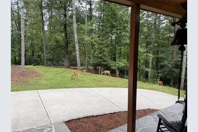 160 Nahunta Court, Ellijay, GA 30540 - Photo 35