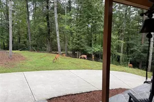 160 Nahunta Ct, Ellijay, GA 30540 - Photo 35