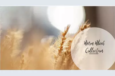 510 Alice Way #D17, Cumming, GA 30040 - Photo 25