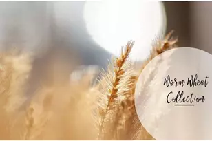 510 Alice Wy, Cumming, GA 30040 - Photo 25