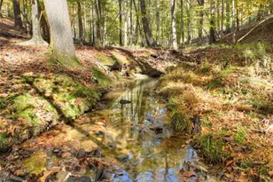 297 Oneida Cir, Ellijay, GA 30540 - Photo 31