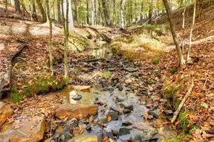 297 Oneida Cir, Ellijay, GA 30540 - Photo 35