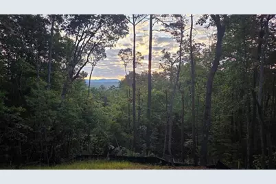 110 Red Oak Trail, Ellijay, GA 30540 - Photo 83